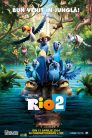 rio 2 436 poster scaled