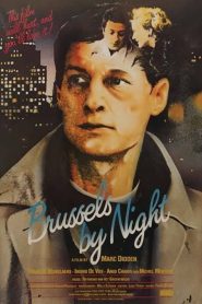 brussels by night 1496 poster.jpg