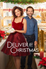 deliver by christmas 4361 poster.jpg