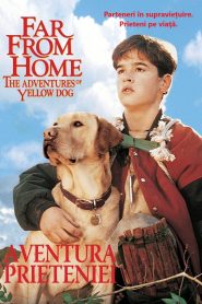 far from home the adventures of yellow dog 1619 poster.jpg