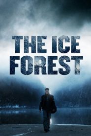 the ice forest 4624 poster.jpg